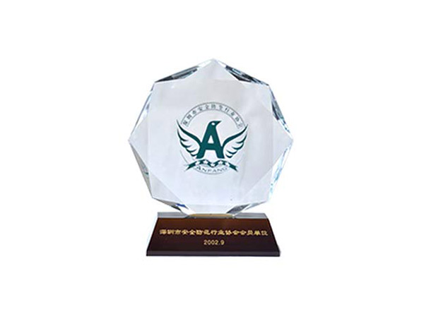 深圳市安全防范行業(yè)協(xié)會(huì)會(huì)員單位